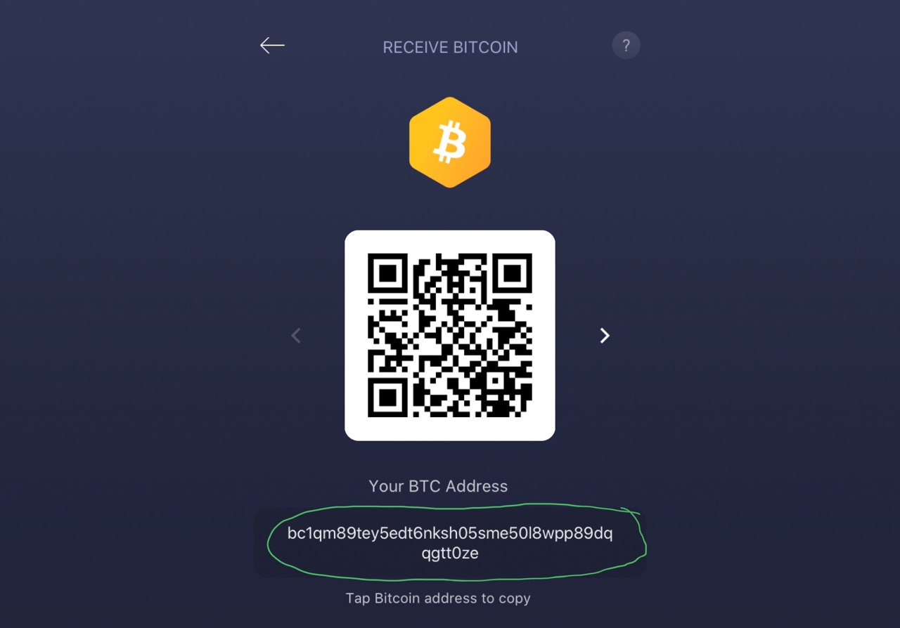 How to buy Bitcoin in New Zealand (stepbystep guide) Money King NZ